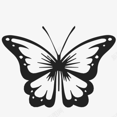 蝴蝶变身昆虫图标图标
