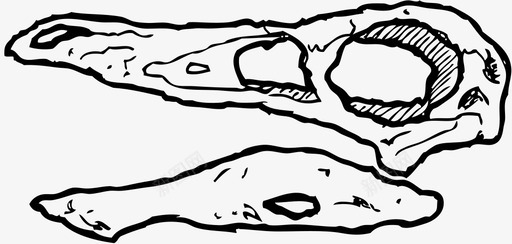 陆地动物生物恐龙头骨三角龙恐龙骨图标图标