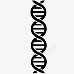 遗传学研究dna科学螺旋图标高清图片