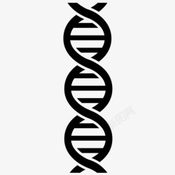 遗传学研究dna科学螺旋图标高清图片