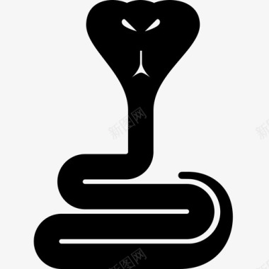 爬行动物蛇蝰蛇眼镜蛇图标图标