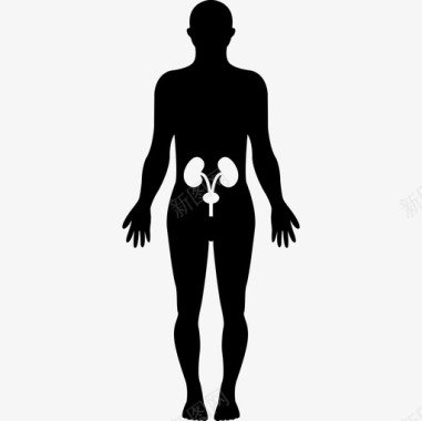 男性人体臀部骨骼内站立男性身体黑色轮廓人身体各部分图标图标