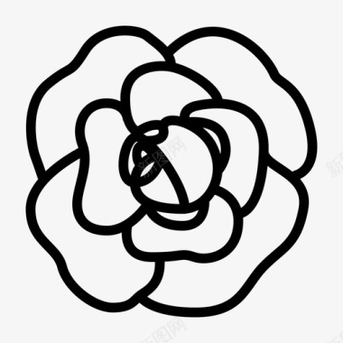 玫瑰PNG图花山茶花花园图标图标