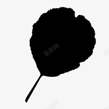 黑桤木施瓦兹叶植物叶图标图标