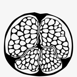 石榴种子采购产品石榴树超级水果图标高清图片