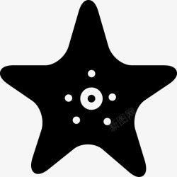 海洋棘皮动物海星星形实心图标高清图片