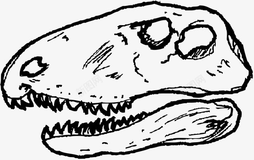 恐龙动物头骨dimetrodon头骨头骨三角龙图标图标