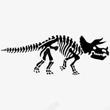 自然三角龙骨骼四足动物史前图标图标
