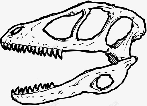 生物学deinonychus头骨动物恐龙图标图标