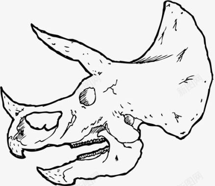 动物恐龙三角龙头骨恐龙骨恐龙化石图标图标