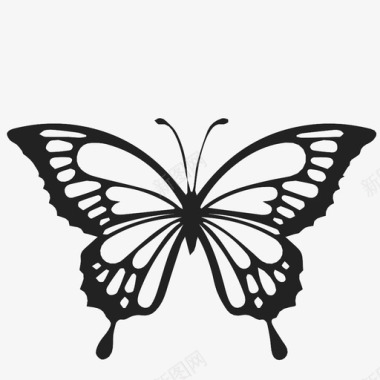 蝴蝶变身昆虫图标图标