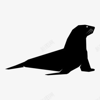哺乳动物海豹海洋生物海洋动物图标图标