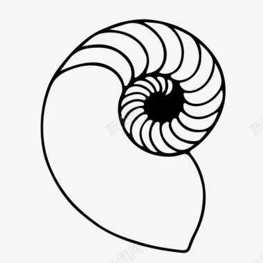 螺纹贝壳鹦鹉螺贝壳序列完美序列图标图标
