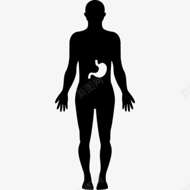 人体内的胃人身体各部分图标图标