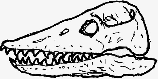 恐龙动物头骨弹性龙头骨头骨三角龙图标图标