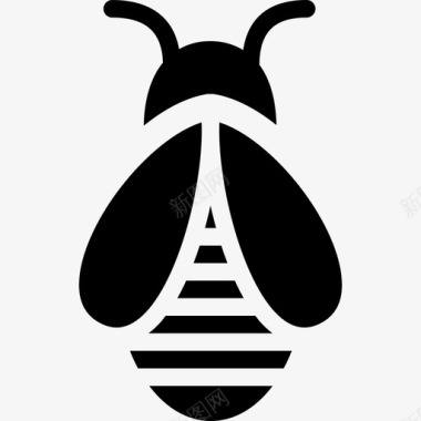 蜜蜂黄蜂刺图标图标