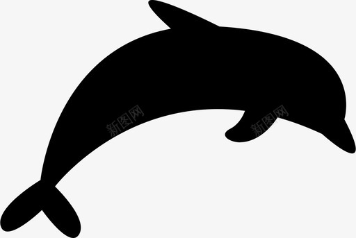 海豚海豚野生动物游泳图标图标