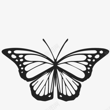 美丽蝴蝶美丽帝王图标图标