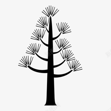 树软木松自然图标图标
