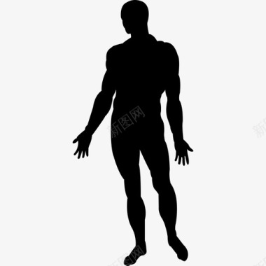 红黑色背景人体站立黑色轮廓人身体部位图标图标
