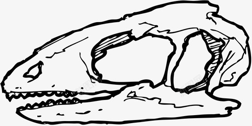 陆地动物生物魏格蒂龙头骨恐龙骨恐龙化石图标图标