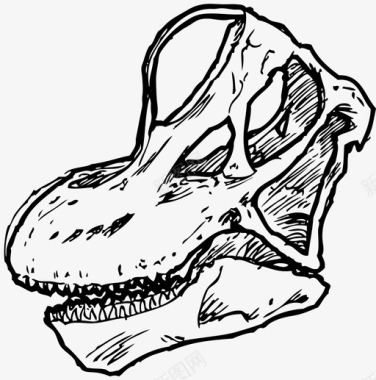 恐龙动物头骨腕龙头骨头骨三角龙图标图标