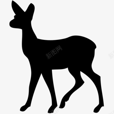 小鹿哺乳动物森林动物图标图标