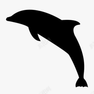 海豚海洋生物哺乳动物图标图标
