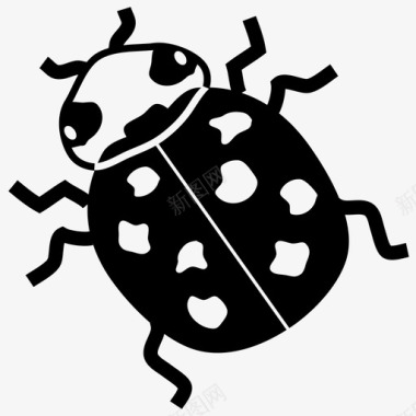 昆虫设计瓢虫动物群飞行图标图标