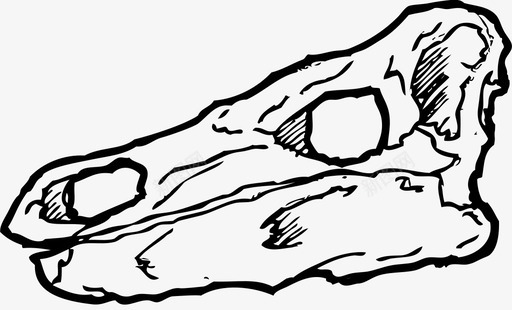 恐龙动物头骨列克索龙头骨列克索病毒头骨头骨图标图标