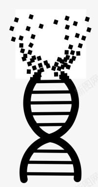 数字77数字dna图标图标