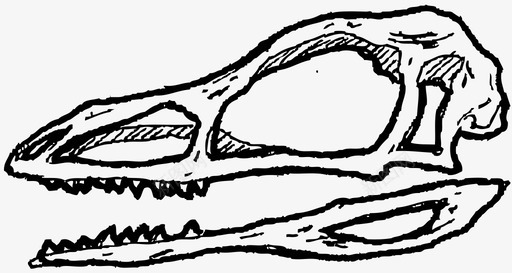 陆地动物生物巨蜥头骨头骨三角龙图标图标