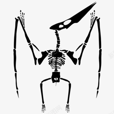翼龙骨骼遗骸史前图标图标