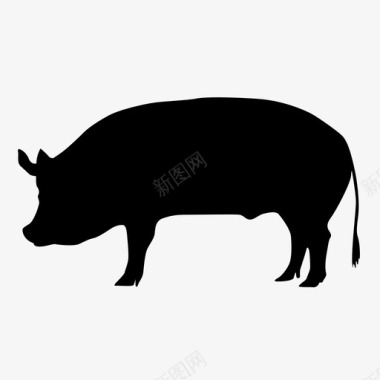 财神猪猪猪肉小猪图标图标