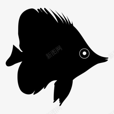鱼热带鱼海洋生物图标图标