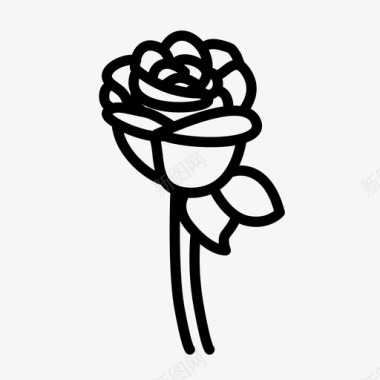 玫瑰玫瑰花自然图标图标