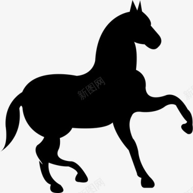 舞动的黑马用一只抬起的脚动物马2图标图标