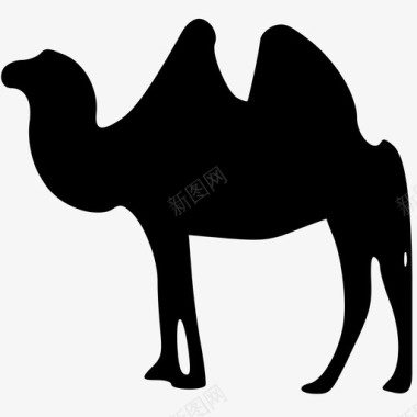 晕眩的骆驼单峰骆驼图标图标