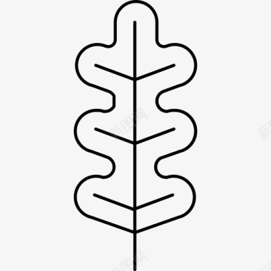 植物叶具不规则的曲线自然灌木笔触图标图标