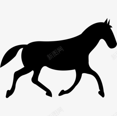 黑马步行姿势动物马2图标图标