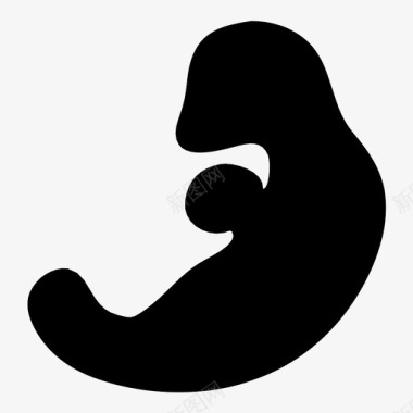 胚胎妊娠新生儿图标图标