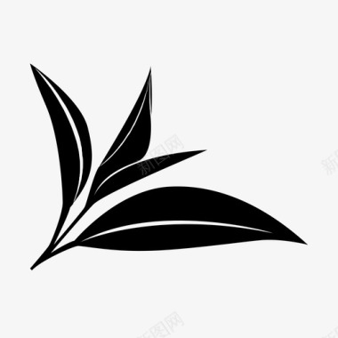 植物茶叶罗勒植物图标图标