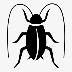 食安家庭蟑螂侵染昆虫图标高清图片