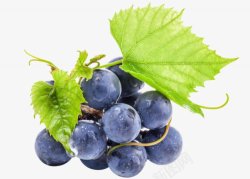 的水果果蔬蔬菜水果树莓蓝莓8蔬菜水果蔬菜素材