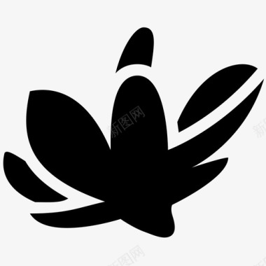木兰花尖种子图标图标