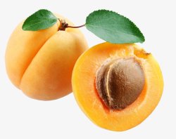 桃子油桃水蜜桃水果透明7水果蔬菜苹果草莓西素材