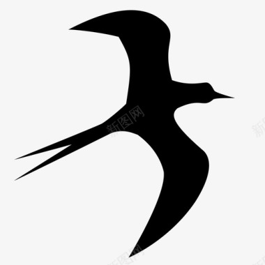 燕子图片鸟动物飞翔图标图标