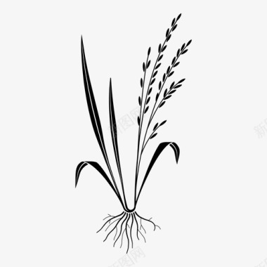 水稻根植物图标图标