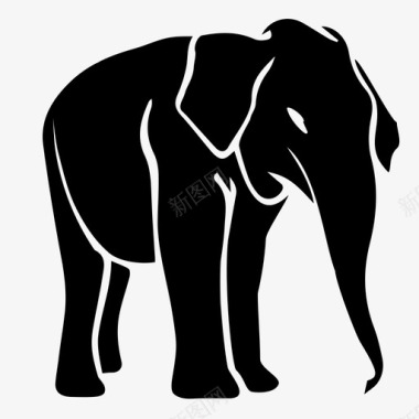 自然大象非洲动物图标图标