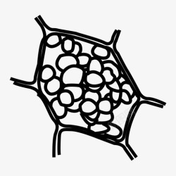 叶绿体叶绿体细胞部分图标高清图片